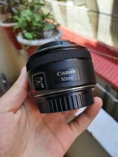 Canon 50mm 1.8 Stm Lens