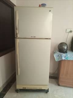 PEL Refrigerator Medium