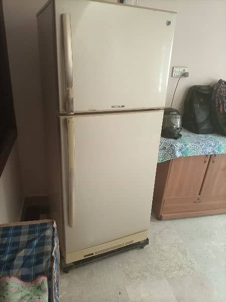 PEL Refrigerator Medium 1