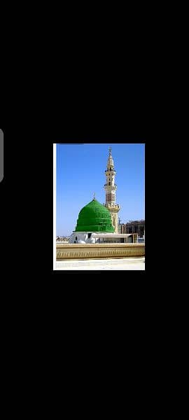 Online Quran teacher