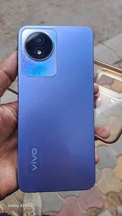 vivo