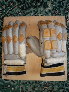 Hard Ball Cricket Gloves for sale