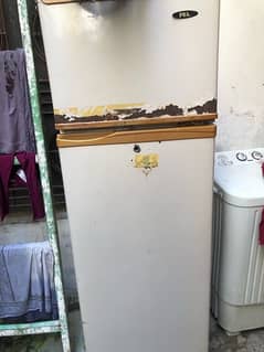 fridge