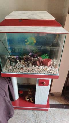 Fish Aquarium For Sale