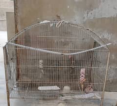 Hen cage for sale