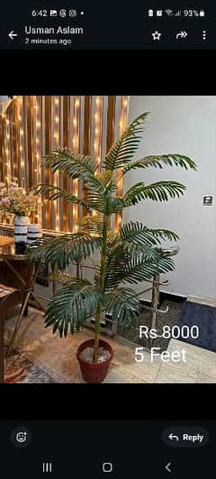 Artifical auriga palm plant 5 feet in excellent condition