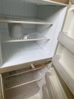 fridge/ refrigerator/ freezer