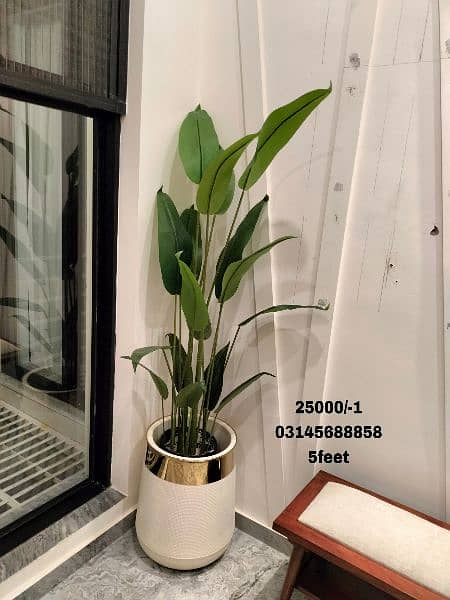 Artificial plants with elegant Port complete available here 3