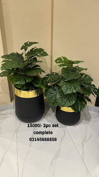 Artificial plants with elegant Port complete available here 4