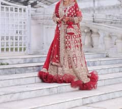 brand new lengha