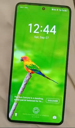 Tecno Camon 20 __Chak no 10/fw