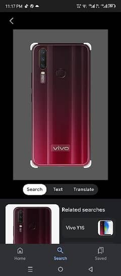 vivo