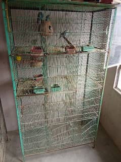 Behtareen Pinjra, Cage, Fisher, pasnata, lutino breeder pairs