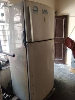 dowlenc fridge