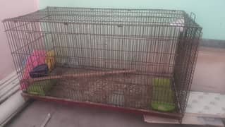 cage for sell parrots