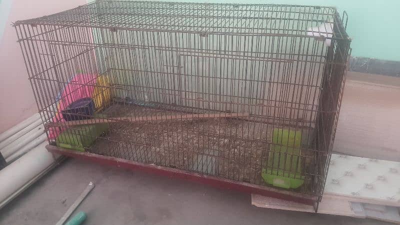 cage for sell parrots 1