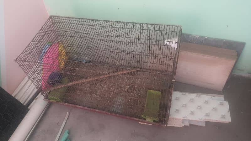 cage for sell parrots 2