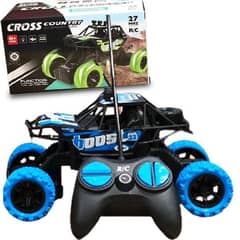 Rechargeable Cross Country Booster RC Car