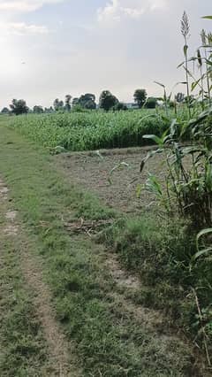 8 kanal Agricultural Land for Sale on Badian Road, Lahore (Moza Lakhoki)