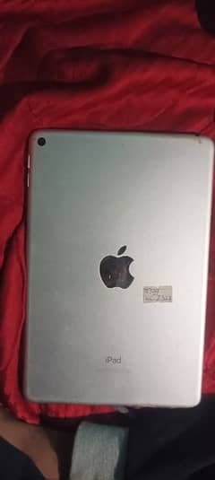 ipad mini5 dead