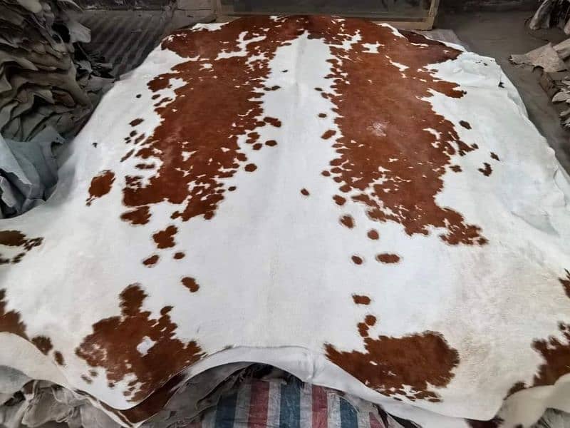 NATURAL COWHIDE RUGS TRICOLOR AUSTRALIAN COW FUR SKIN CARPET 3