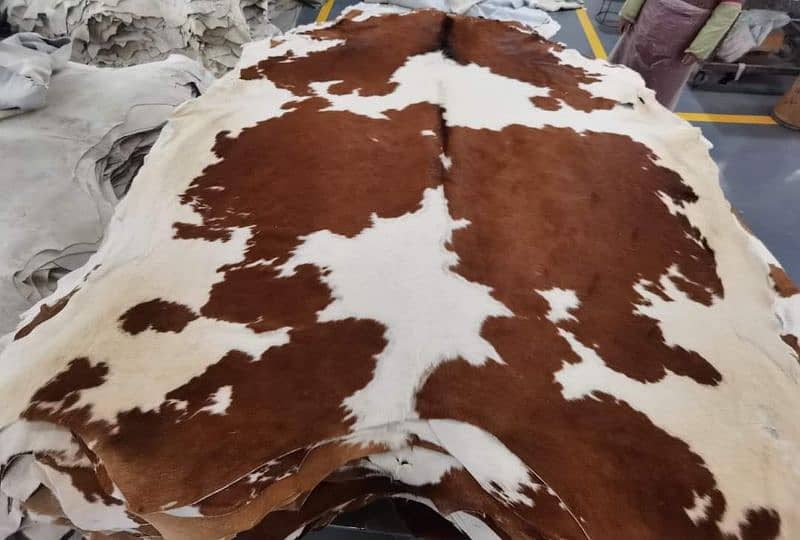 NATURAL COWHIDE RUGS TRICOLOR AUSTRALIAN COW FUR SKIN CARPET 4