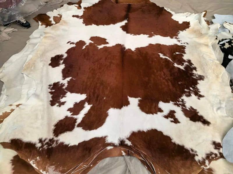 NATURAL COWHIDE RUGS TRICOLOR AUSTRALIAN COW FUR SKIN CARPET 5