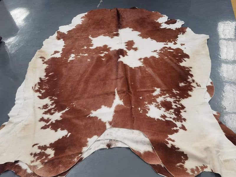 NATURAL COWHIDE RUGS TRICOLOR AUSTRALIAN COW FUR SKIN CARPET 6