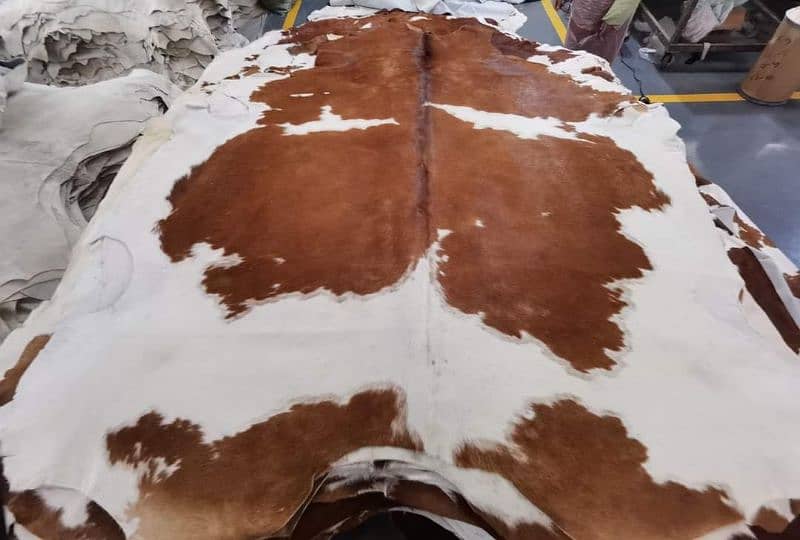 NATURAL COWHIDE RUGS TRICOLOR AUSTRALIAN COW FUR SKIN CARPET 7