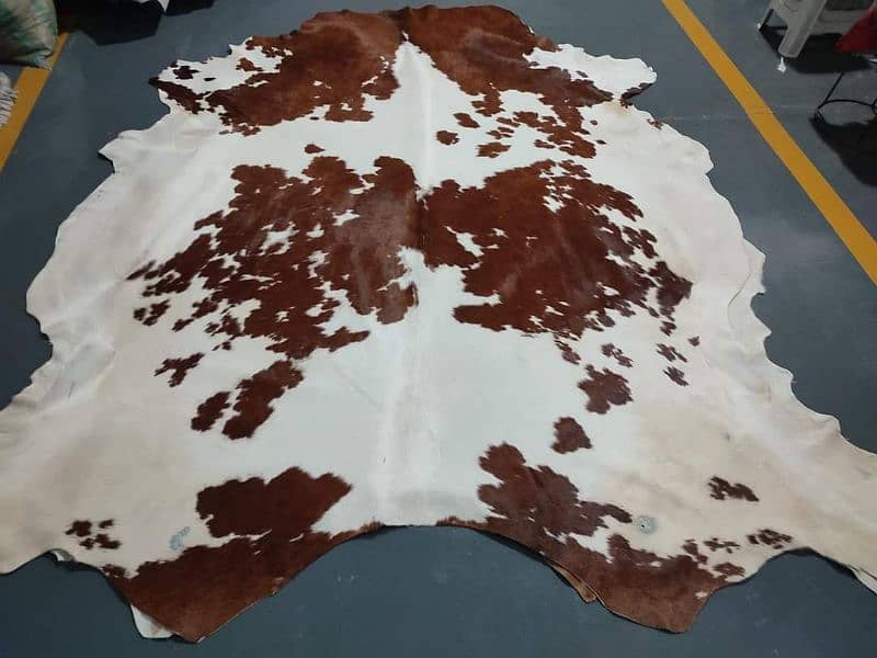 NATURAL COWHIDE RUGS TRICOLOR AUSTRALIAN COW FUR SKIN CARPET 8