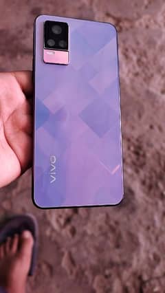 vivo