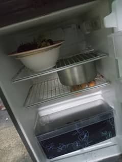 pel fridge for sale