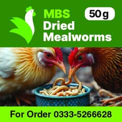 Dried Mealworms for birds fish and other pets