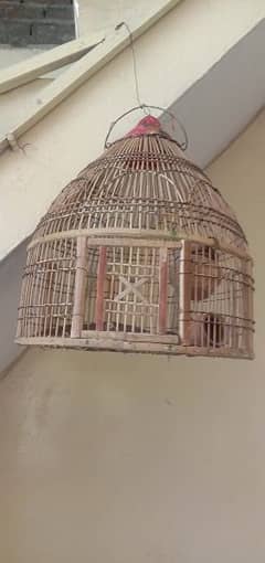 tetar cage bilkul new ha . 03035236901