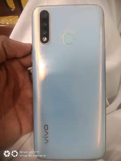 vivo