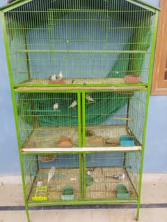 5 Portion Cage with All Birds and Accessories