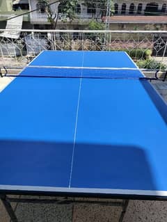 Table Tennis Table with Net