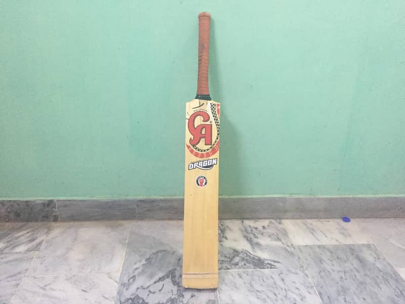 Best budget cricket bat for tape ball 1