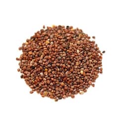 Mooli seed