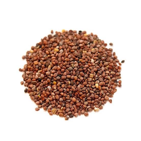 Mooli seed 0