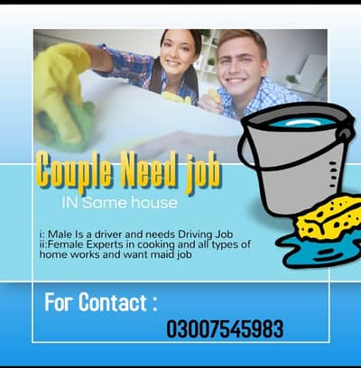 need house job husband and and vife