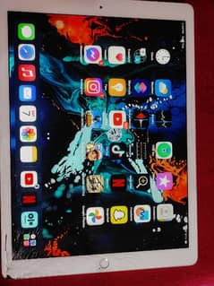 ipad pro 2nd 256gb 12.9