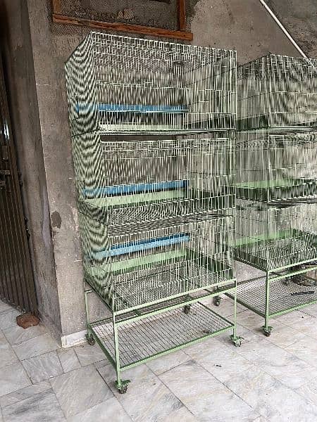 stee cage of birds/hen/parrot/love bird/dog/cat 1