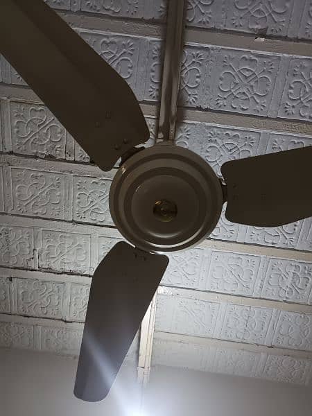 Royal AC DC Fan 4