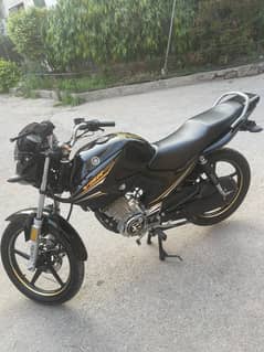 Yamaha YBR 125  2022