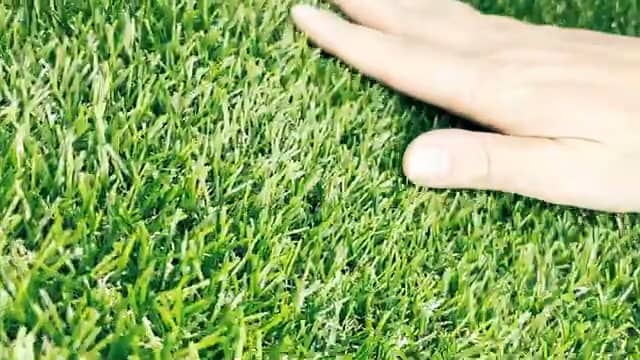 Premium Artificial Grass Sample - Real-Feel American Grass 9