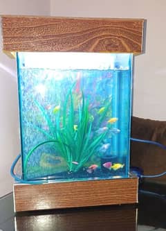 fish aquarium New and 19 fish include. . . . 0