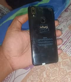 vivo