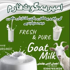 Fresh Goat milk