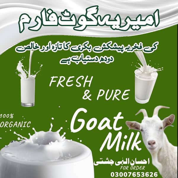 Fresh Goat milk 0